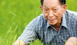 吃瓜爆料袁隆平是真的吗,吃瓜爆料背后的真实故事